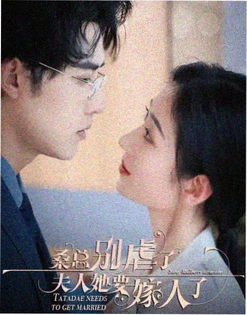 玻璃动物园剧集海报